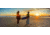 Moment M-Series, 1.55x Anamorphic Lens, Gold Flare, Black, 130-006