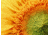 Moment T-Series Macro Lens, 10x, 130-107