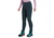 Montane Ineo XT Pants - Womens, Deep Forest, Large, FIXTRDFON16