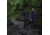 Montane Phase Jacket - Womens, Saskatoon Berry, Medium, FPHAJSASM14