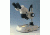 Motic Instruments Stereo Microscope SFC-11B-N2GG PX11.326.101