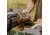 Moultrie Edge 2