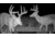 Moultrie Edge 2