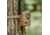 Moultrie Edge 2