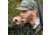 K&amp;H KHT0254 MOUTH CALL SMOKE SHOW 3PK