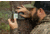 Moultrie Feeders Micro-42i Camera Kit, Mossy Oak Camo, MCG-14060