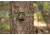Moultrie Feeders Micro-42i Camera Kit, Mossy Oak Camo, MCG-14060