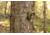 Moultrie Feeders Micro-42i Camera Kit, Mossy Oak Camo, MCG-14060
