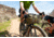 MSR Hubba Hubba Bikepack 2, Green, 2, 13707
