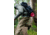 MSR Hubba Hubba HD Tent