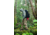 MSR Hubba Hubba HD Tent
