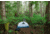 MSR Hubba Hubba HD Tent
