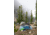 MSR Hubba Hubba HD Tent