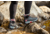 Muck Boots Apex Lace Up Boots - Womens, Black, 12, AXWL-000-BLK-120
