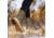 Muck Boots Arctic Ice Nomadic Sport Arctic Grip A.T Lace Boot - Womens, Olive/Camo, 5, NWVA-300-CAM-050