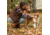 Muck Boots Originals Duck Lace Boot - Women's, 7 US, Medium, Tan/Dark Brown, ODLW-902-TAN-070
