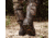 Muck Boots Woody Max RT Edge - Men's, Bark/Mossy Oak Break Up Country Mini, 14, WDM-MOCT-MOK-140