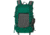 Mystery Ranch In and Out Daypack, Grass, 110311-330-00