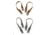 Mystery Ranch Quick Attach MT Accessory Straps, Coyote, Foliage