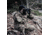 Newcon Optik, 7x50mm, Porro Prism, Tactical Binocular, Black, AN 7x50MC