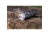 Nextorch P8 Flashlight