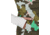 Obermeyer Nieve Down Vest - Womens, Jasmint Camo, Small, 14056-21129-S