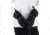 Obermeyer Solstice Leather Glove - Womens, Black, Small, 18043-16009-S