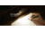 Olight OPen 120 Lumens LED Glow EDC Pen with Flashlight and Green Laser