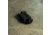 One Hundred Concepts Thermal Cap