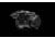 One Hundred Concepts Thermal Cap