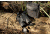 OPMOD Waterproof 10x42 Binoculars Lifetsyle Image, EDEMO1