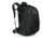 Celeste 29 Pack -Black