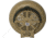 Overland Vehicle Systems Wild Land Camping Gear, Portable Fan, Light, 15059910