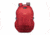 Pacsafe Venturesafe 25L G3 Backpack, Goji Berry, 60545324