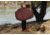 Peak Design 30 Liters Travel Backpack, Eclipse, BTR-30-EP-3