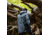 Peak Design Slide Lite Camera Strap, Sage, SLL-SG-3