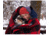 Peregrine Plaid Red Wool 50 WBASBHPRB501Q80