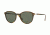 Persol PO3169S Sunglasses 105431-50 - Dark Havana Frame, Green Lenses