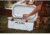 Plano Frost Cooler w/Display, 32qt, White, 32 quart, PLAC32WHD
