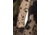 Pnuma Outdoors Rogue LS Performance Hunting Shirt - Mens, Caza, XL, PLLSTCZX