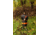 Poler NHL Napsack, Flyers, Extra Large, 214CLU5502-Flyers-XL