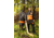 Poler NHL Napsack, Flyers, Extra Large, 214CLU5502-Flyers-XL