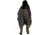 Poler Poncho, Black Ginger Critter, One Size, 212ACU5601-BLGCRITTER-O/S