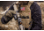 Predator Armor Polyethylene Level III Loaded Bundle, Coyote, 16x12, BDL-3PLYLBDL-CY