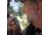 Primos Hunting Mewie Grande Cow Call, 950