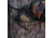 Primos Hunting No-Lose Mouth Call Case, Blister, 618