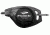 Princeton Tec Pulsar LED Compact Light, Translucent Black w/ Red LED, P-3-BK