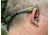 Pro-Ears Stealth 28, Green, PEEBGRN