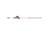 ProFISHiency Krazy Americana Baitcast Combo, 7ft, 1pc, Medium Heavy, 7.3-1, 6+1, Left Hand, AMERBC7MHFCL