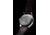 ProTek Titanium Field Watch, Titanium Case/Black Dial/Dark Tan Strap, One Size, PT3001